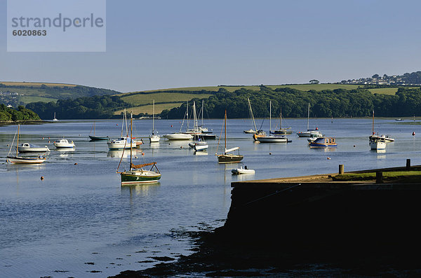 Die Mündung der Kingsbridge  Kingsbridge  Devon  England  Vereinigtes Königreich  Europa