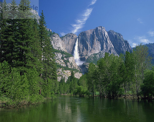 Der Merced River geschwollen von Sommer Schneeschmelze  mit dem Yosemite fällt im Hintergrund im Yosemite National Park  UNESCO World Heritage Site  California  Vereinigte Staaten  Nordamerika