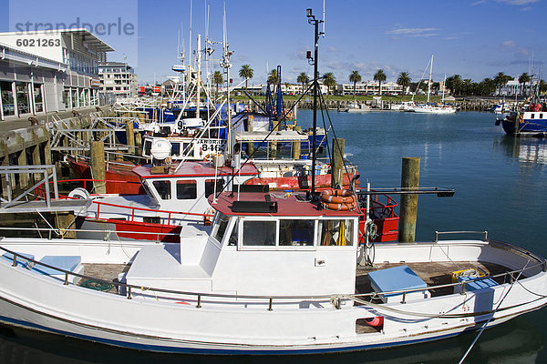 Inneren Hafen  Gisborne Eastland District  North Island  Neuseeland  Pazifik