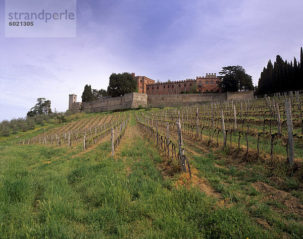 Castello di Brolio und berühmten Weinberge  Brolio  Chianti  Toskana  Italien  Europa