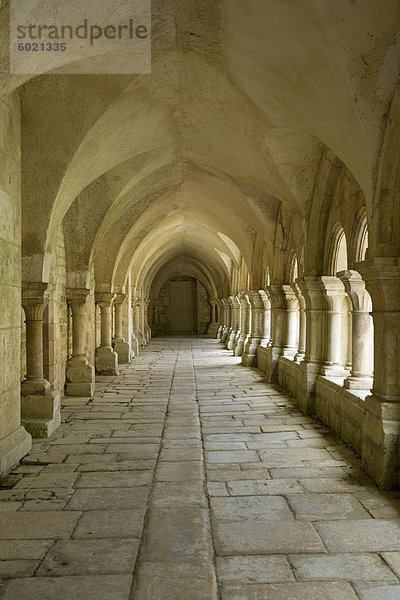 Kreuzgang  Abtei von Fontenay  UNESCO World Heritage Site  Burgund  Frankreich  Europa