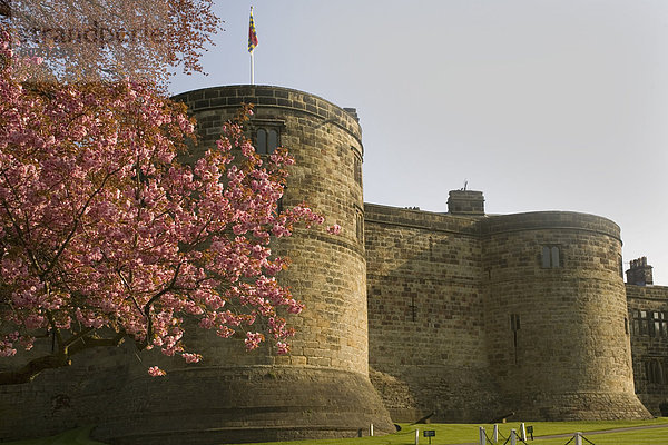 Schloss Skipton  Yorkshire  England  Vereinigtes Königreich  Europa