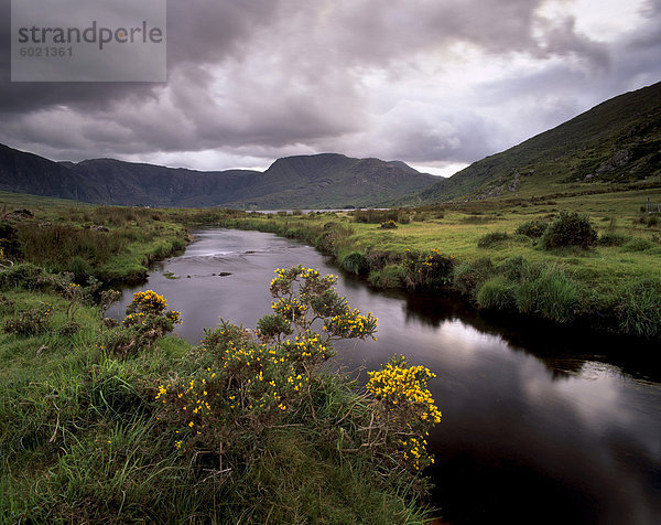 Fluss Caragh  nahe Boheeshil  Iveragh-Halbinsel  Ring of Kerry  County Kerry  Munster  Irland  Europa