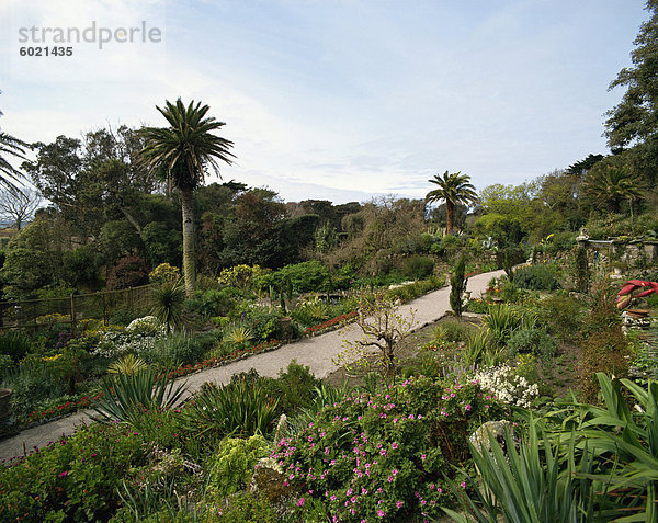 Abbey Gardens  Tresco  Inseln von Scilly  Vereinigtes Königreich  Europa