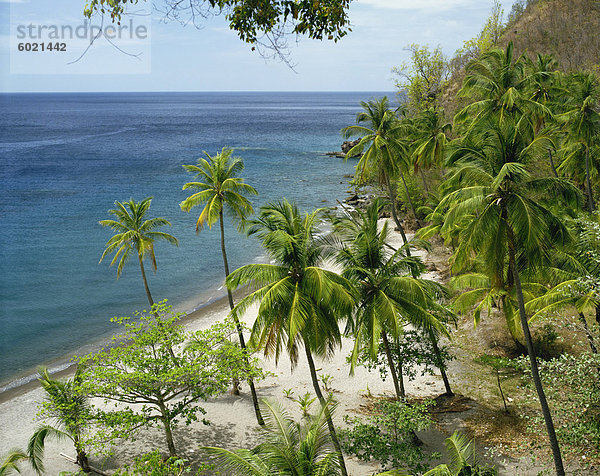 Anse Chastanet  in der Nähe von Soufriere  St. Lucia  Windward-Inseln  West Indies  Caribbean  Central America