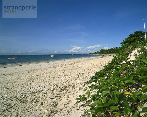 Nyali Beach  Kenia  Ostafrika  Afrika