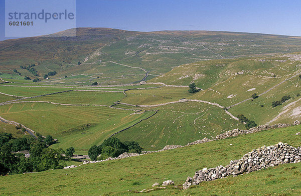 Typische und gut erhaltene Landschaft des Yorkshire Dales National Park  in der Nähe von Malham  Yorkshire  England  Vereinigtes Königreich  Europa