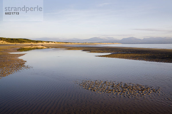 Pool auf Llanddwyn Erhaltung Sandstrand bei Ebbe mit Sand dunes Newborough Warren Nature reserve und Bergblick in Snowdonia im Winter Newborough  Anglesey  North Wales  Vereinigtes Königreich  Europa