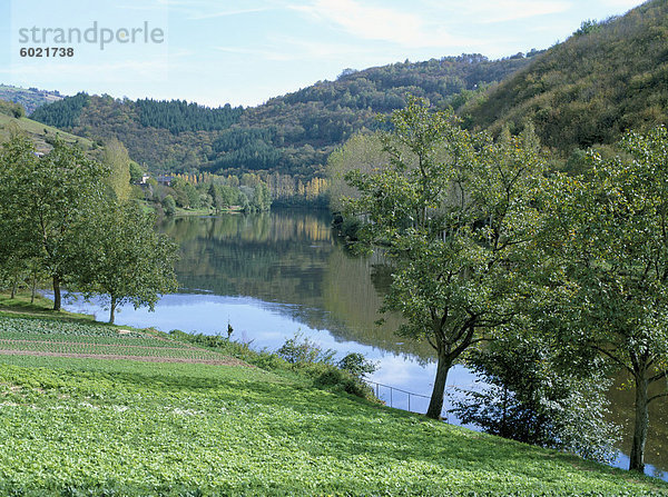 Kopfsalat Anbau im Vordergrund  vom Fluss Lot  in der Nähe von Port d'Acres  nördlich von Decazeville  Midi-Pyrenees  Frankreich  Europa
