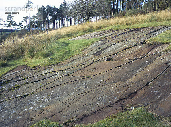 Tasse und Ring-Schnitzereien  die größte Cluster der prähistorischen Cup und Ring Schnitzereien in Großbritannien  Achnabreck  Kilmartin Glen  Argyll und Bute  Scotland  Großbritannien  Europa