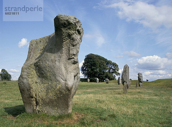 Stehende Steine in der Steinkreis  Avebury  UNESCO Weltkulturerbe  Wiltshire  England  Vereinigtes Königreich  Europa
