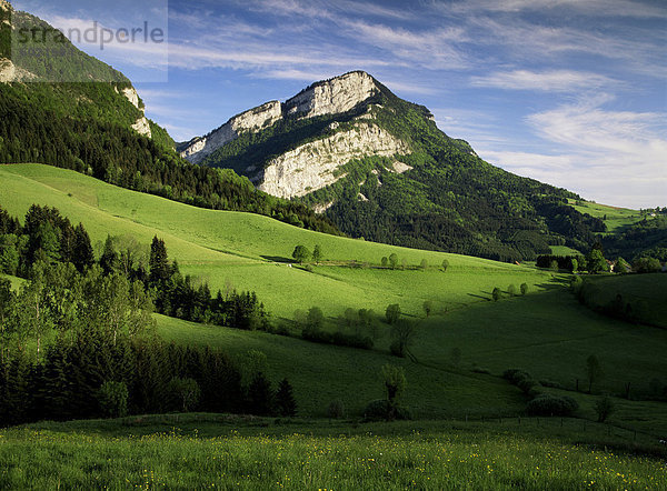 Landschaft in der Nähe von Villard de Lans  Parc Naturel Regional du Vercors  Drome  Rhone Alpes  Frankreich  Europa