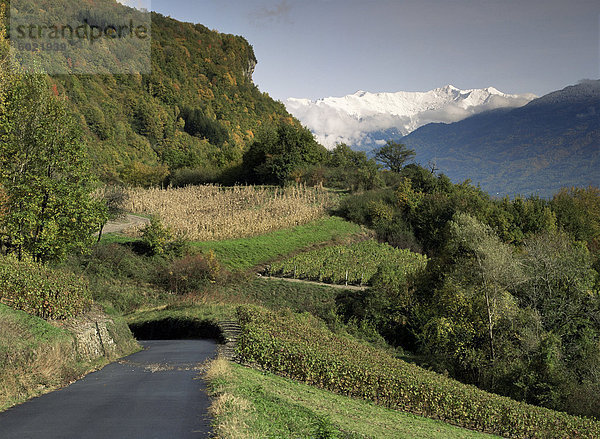 Landschaft in der Nähe von Chambéry Savoie Rhone Alpes  Frankreich  Europa