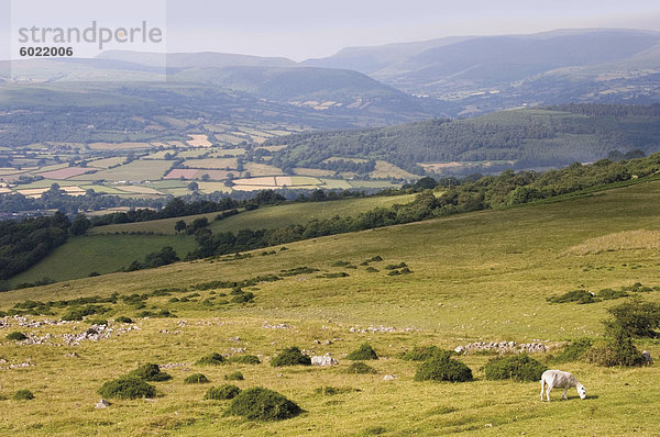 Blick über das Tal von den Usk und den Black Mountains  Brecon-Beacons-Nationalpark  Powys  Wales  Wales  Vereinigtes Königreich  Europa