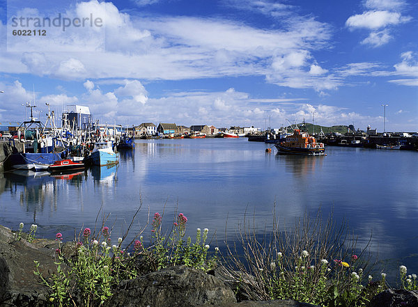 Fischereifahrzeugen ankern entlang der West Pier  Howth Harbour und Rettungsboot  Howth  Co. Dublin  Eire (Irland)  Europa