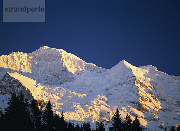 Die schneebedeckte Jungfrau in den Alpen im Berner Oberland  Schweiz  Europa