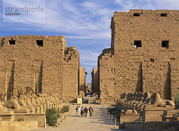 Die Prozessionsstraße Avenue  gesäumt die Widder-vorangegangenen Sphinxe  vor dem Tempel von Karnak  Theben  UNESCO-Weltkulturerbe  Ägypten  Nordafrika  Afrika