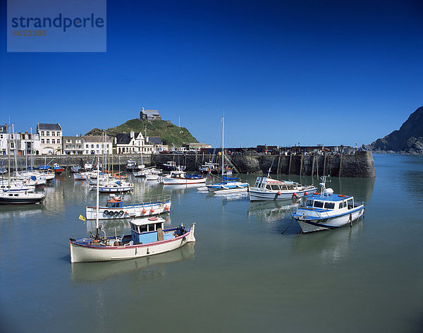 Hafen  Ilfracombe  Devon  England  Großbritannien  Nordeuropa