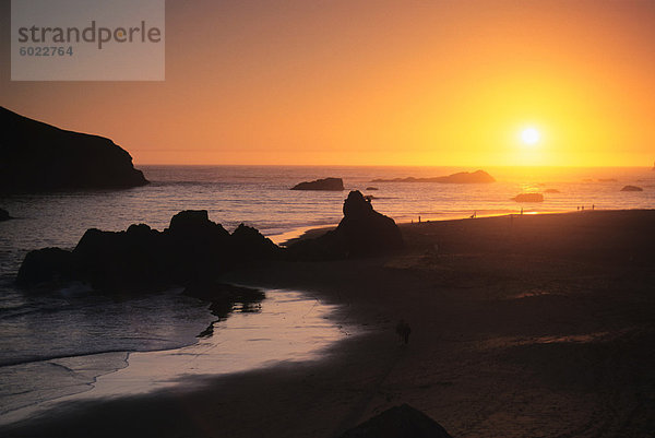 Harris Beach State Park  Brookings  Oregon  Vereinigte Staaten von Amerika  Nordamerika