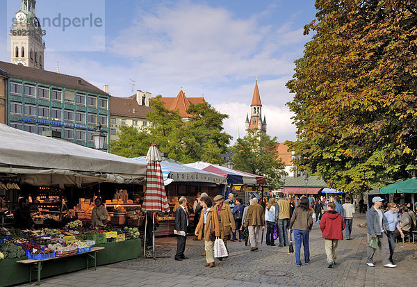 Viktualienmarkt  Lebensmittelmarkt  München (München)  Bayern (Bayern)  Deutschland  Europa