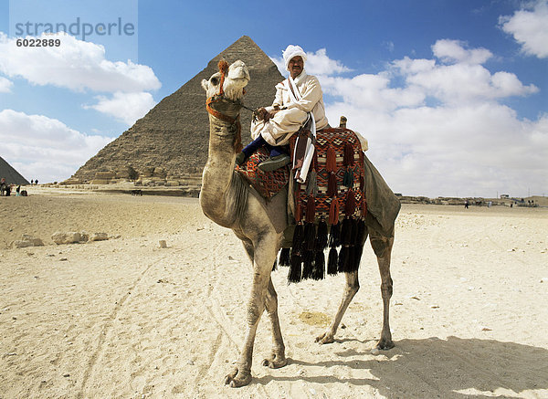 Kamel und Reiter  Giza  Ägypten  Nordafrika  Afrika