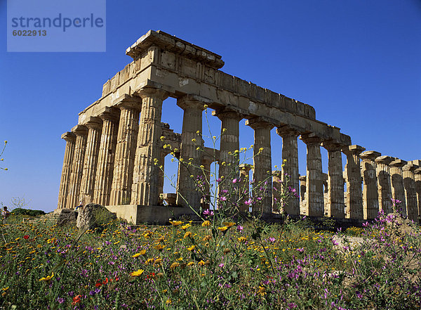 Tempel E  aus dem 5. Jahrhundert v. Chr.  Selinunte  nahe Castelventrano  Sizilien  Italien  Europa