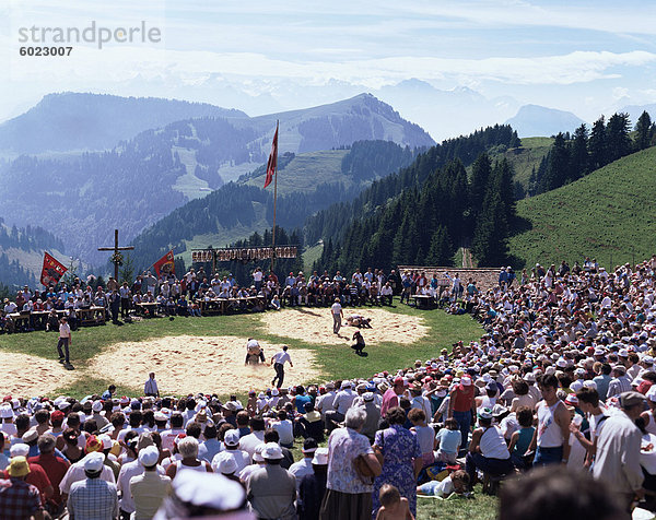 Großes Schiving Und Alperfest Auf Rige - Staffel  jährliche Ringen Festival  Schweiz  Europa
