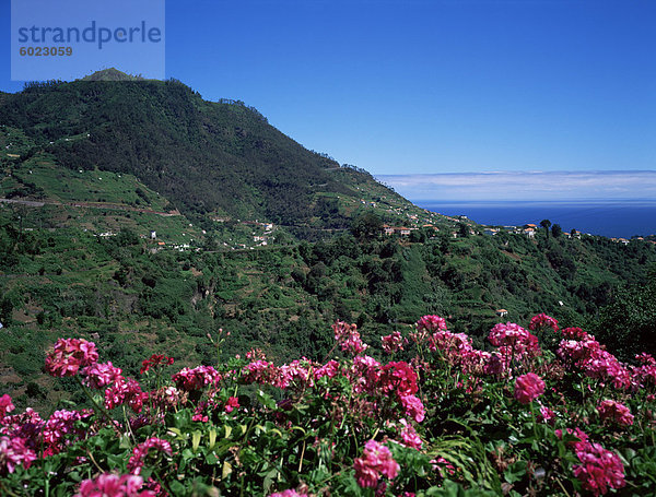 Landschaft in der Nähe von Sao Roque Faial  Insel Madeira  Portugal  Atlantik  Europa