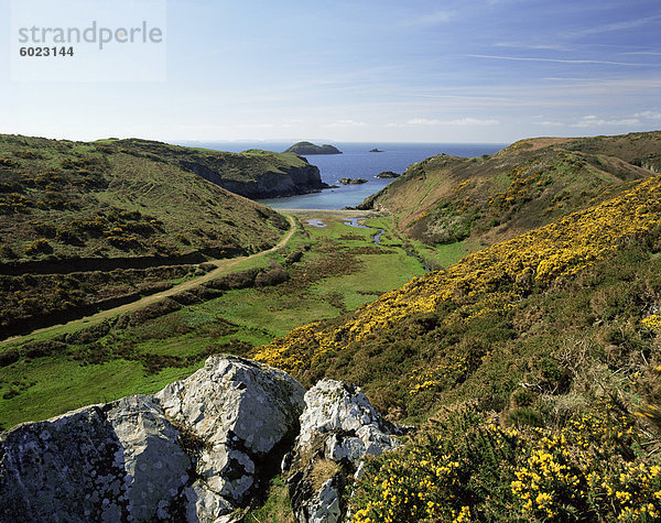 Blick auf Meer und Strand vom Küstenpfad in der Nähe von Lower Solva  Pembrokeshire  Wales  Vereinigtes Königreich  Europa