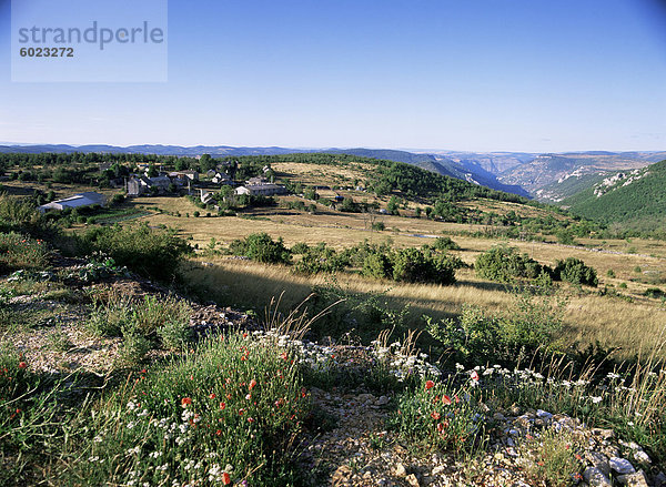 Landschaft  Languedoc-Roussillon  Frankreich  Europa