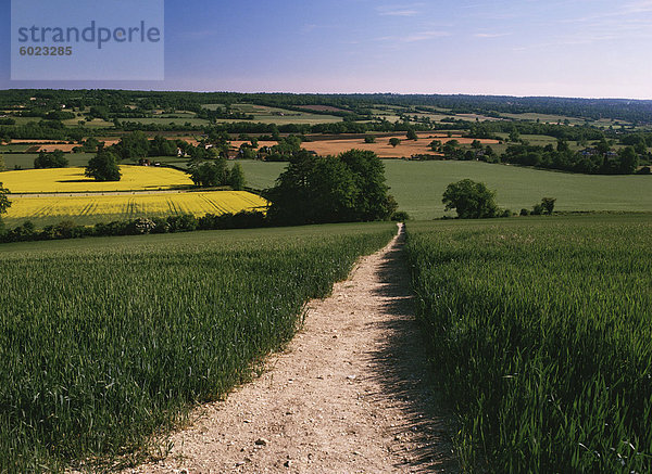 Wanderweg  Heaversham  in der Nähe von Sevenoaks  North Downs  Kent  England  Vereinigtes Königreich  Europa