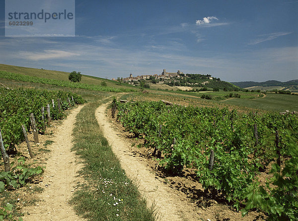 Weinberge mit Dorf in Distanz  Vezeley  Burgund  Frankreich  Europa