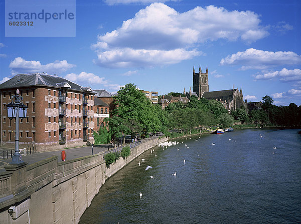 South Quay  Kathedrale und Fluss Severn  Worcester  Hereford und Worcester  England  Vereinigtes Königreich  Europa