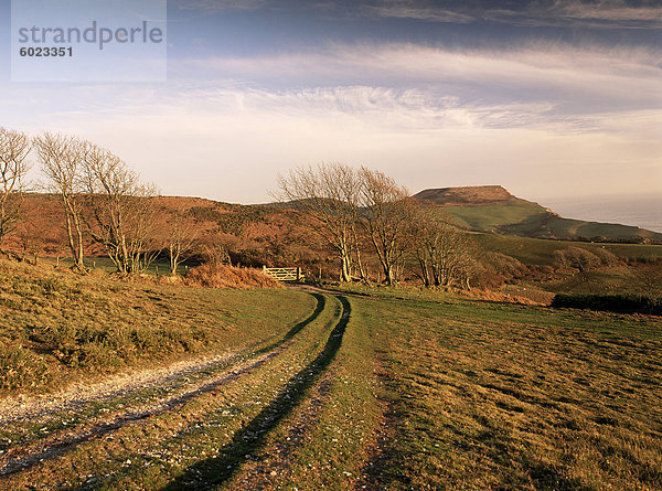 Europa Großbritannien Dorset England