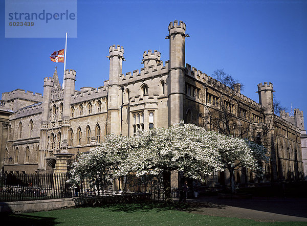 Alte Schulgebäude vom King 's College  Cambridge  Cambridgeshire  England  Vereinigtes Königreich  Europa