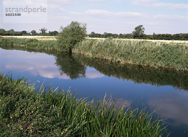 Great Ouse River in der Nähe von Bletsoe  Bedfordshire  England  Vereinigtes Königreich  Europa