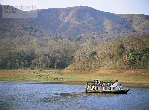 Touristenboot anzeigen Tiere  Periyar Wildlife Reserve  Kerala Zustand  Indien  Asien