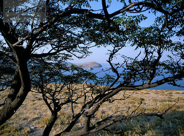 Limnos (Lemnos)  Aegean Inseln  griechische Inseln  Griechenland  Europa