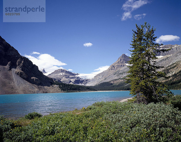 Bow Lake mit Bow Glacier hinter Icefields Parkway  Banff National Park  UNESCO World Heritage Site  Alberta  Kanada  Nordamerika