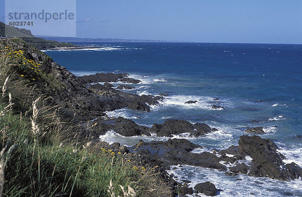 Landschaft der felsigen Küste entlang der Great Ocean Road  Victoria  Australien  Pazifik