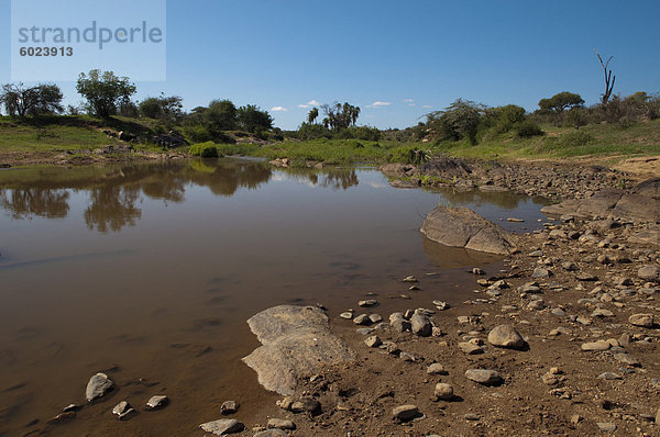 Loisaba Wildnis Conservancy  Laikipia  Kenia  Ostafrika  Afrika