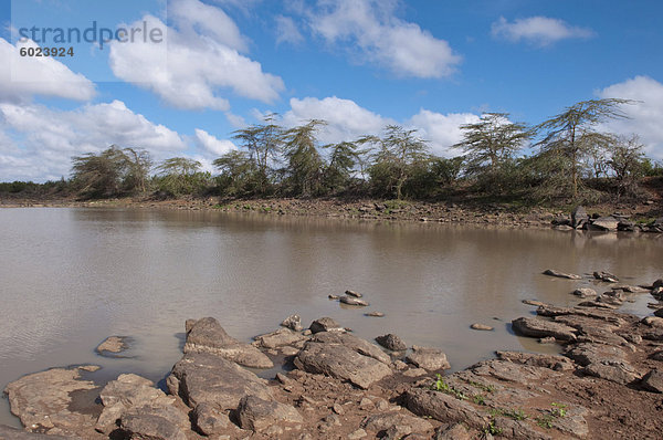Loisaba Wildnis Conservancy  Laikipia  Kenia  Ostafrika  Afrika