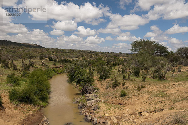 Laikipia  Kenia  Ostafrika  Afrika