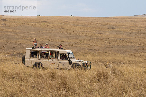 Löwe (Panthera Leo)  Masai Mara  Kenia  Ostafrika  Afrika