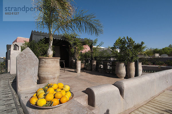 Dar Darma Riad  Marrakesch  Marokko  Nordafrika  Afrika