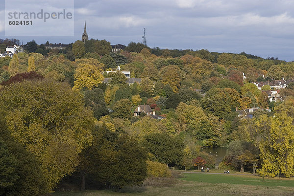 Ansicht mit Blick in Richtung Highgate von Hampstead Heath  London  England  Großbritannien  Europa