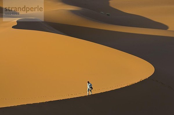 Tourist entlang einer riesigen Düne  Merzouga  Marokko  Nordafrika  Afrika