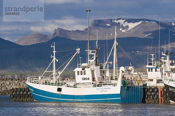 Fischtrawler liegen in der Habour Olavsvik  Westen Islands  Polarregionen