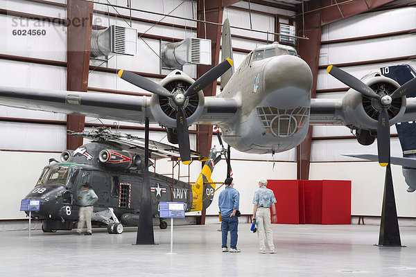 Douglas B-18B Bolo  Pima Air und Space Museum  Tucson  Arizona  Vereinigte Staaten von Amerika  Nordamerika