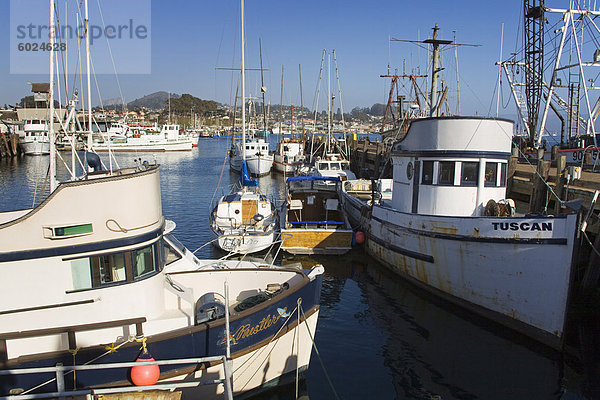Fischerboote  Morro Bay City  San Luis Obispo County  California  Vereinigte Staaten von Amerika  Nordamerika